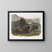 Bison américain 1 femelle 2 jeunes 3 mâles - John Woodhouse Audubon — gerahmtes Bild an der Wand