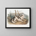 Hund domestique männlich von Indien - John Woodhouse Audubon — gerahmtes Bild an der Wand