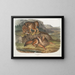 Loup des prairies mâle - John Woodhouse Audubon — gerahmtes Bild an der Wand