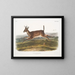 Hirsch mit langem Schwanz männlich - John Woodhouse Audubon — gerahmtes Bild an der Wand
