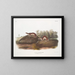 Amerikanisches Fouine-Gemälde - John Woodhouse Audubon — gerahmtes Bild an der Wand