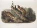 Fouine à collerette, mâles, taille naturelle - John Woodhouse Audubon — Ansicht des Kunstwerks