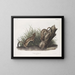 Fouine blanche taille naturelle 1 Männchen 2 Weibchen - John Woodhouse Audubon — gerahmtes Bild an der Wand