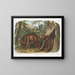 Amerikanischer Schwarzbär, Zimtvariante, Männchen und Weibchen - John Woodhouse Audubon — gerahmtes Bild an der Wand