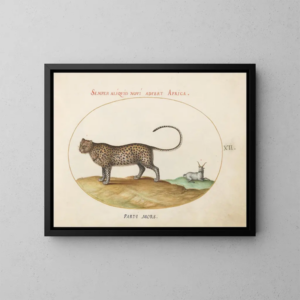 Ein Gepard und ein Wildschaf - Joris Hoefnagel — gerahmtes Bild an der Wand