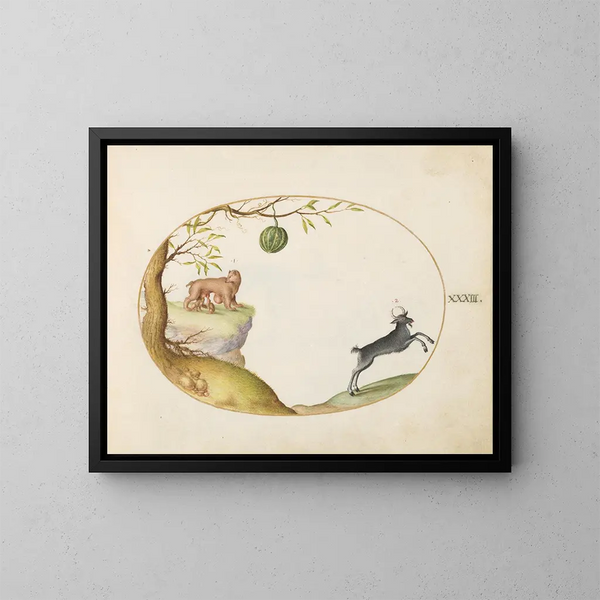 Ein Opossum Simivulpa und ein Steinbock - Joris Hoefnagel — gerahmtes Bild an der Wand
