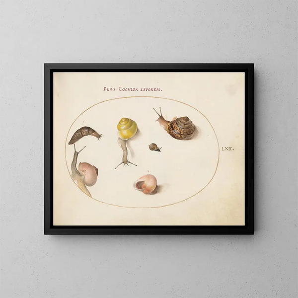 Ein Schnecke mit Schnecken - Joris Hoefnagel — gerahmtes Bild an der Wand