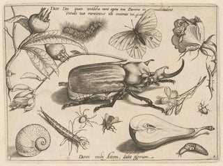 Joris Hoefnagel - Archetypa studiaque patris Georgii Hoefnagelii Pl01.webp