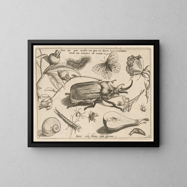 Archétypen und Studien des Vaters Georgius Hoefnagel - Joris Hoefnagel — gerahmtes Bild an der Wand