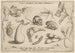 Archetypa Studiaque Patris Georgii Hoefnagelii Pl06 - Joris Hoefnagel — Ansicht des Kunstwerks