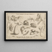 Archetypa Studiaque Patris Georgii Hoefnagelii Pl06 - Joris Hoefnagel — gerahmtes Bild an der Wand