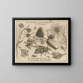Joris Hoefnagel - Archetypa studiaque patris Georgii Hoefnagelii Pl15.webp