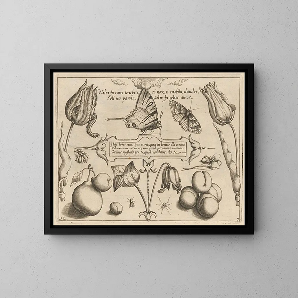 Archetypen und Studien des Vaters Georgius Hoefnagel - Joris Hoefnagel — gerahmtes Bild an der Wand