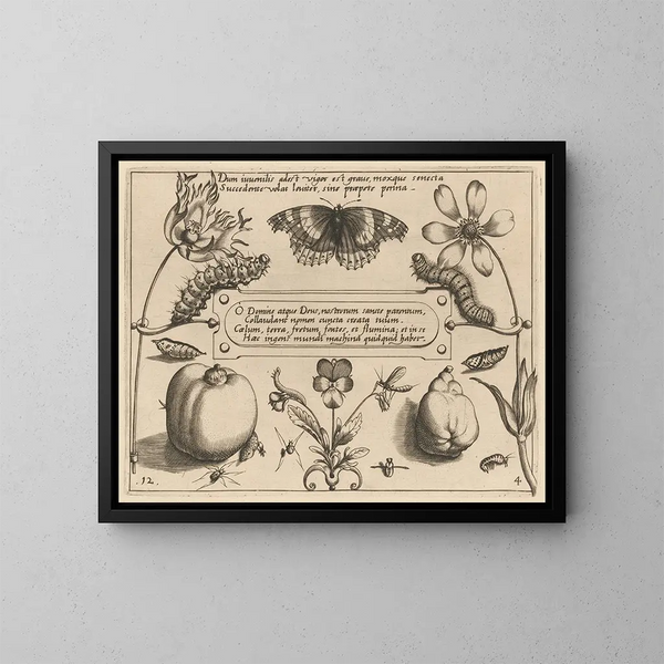 Archétypen und Studien des Vaters Georgius Hoefnagel - Joris Hoefnagel — gerahmtes Bild an der Wand