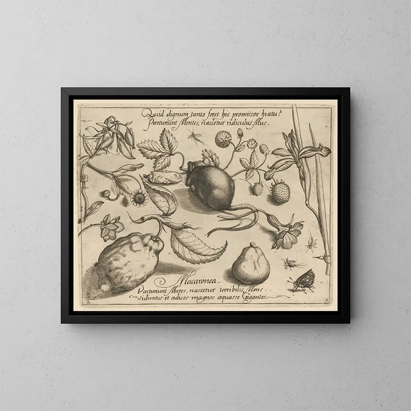 Archétypen und Studien des Vaters Georgius Hoefnagel Pl43 - Joris Hoefnagel — gerahmtes Bild an der Wand