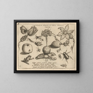 Joris Hoefnagel - Archetypa studiaque patris Georgii Hoefnagelii Pl47.webp
