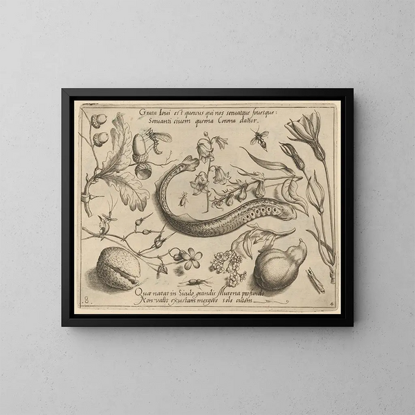 Archétypen und Studien des Vaters Georgius Hoefnagel - Joris Hoefnagel — gerahmtes Bild an der Wand