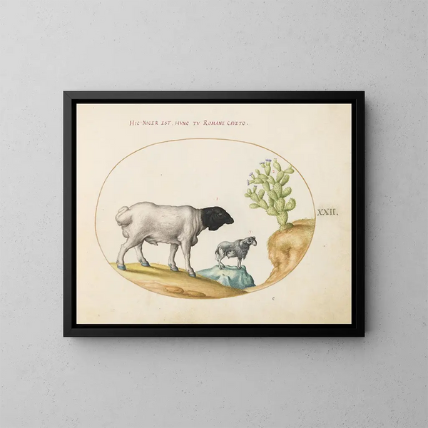 Joris Hoefnagel - Persische Schafe mit schwarzem Kopf und ein Schaf mit langem Schwanz mit einem Kaktus — gerahmtes Bild an der Wand