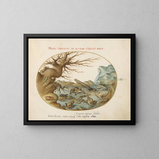 Joris Hoefnagel - Frogs Lizards and Salamanders in a Landscape.webp