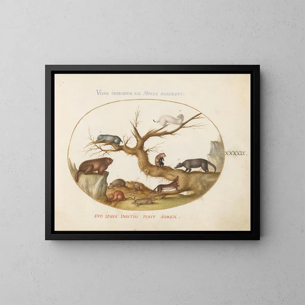Marmotte, Hamster, Ratte, Feldmaus, Maulwurf und Coati - Joris Hoefnagel — gerahmtes Bild an der Wand