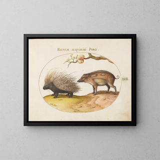 Joris Hoefnagel - Old World Porcupine Hystrix and Wild Pig.webp
