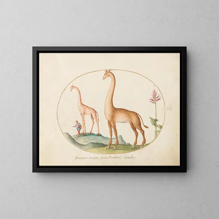 Joris Hoefnagel - Plate 02 Two Giraffes with an Attendant.webp