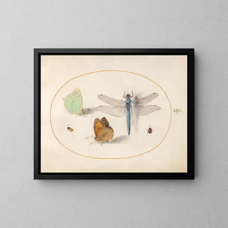 Joris Hoefnagel - Plate 17 Brimstone and Meadow Brown Butterflies a Blue Chaser and Two Small Insects.webp