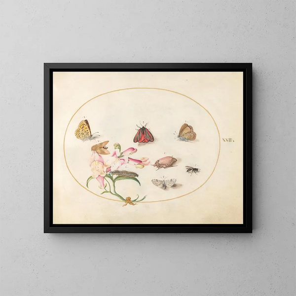 Platinen-Gemälde 22: Eine Zinnober-Motte und ein Nashornkäfer mit Schmetterlingen, anderen Insekten und einer Löwenmaul - Joris Hoefnagel — gerahmtes Bild an der Wand