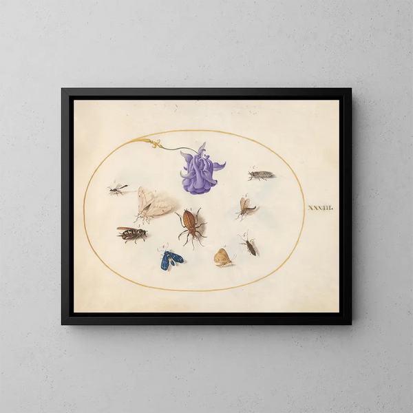 Platinen-Gemälde 33 Nachtfalter und Schmetterling mit anderen Insekten und einer Columbine-Blume - Joris Hoefnagel — gerahmtes Bild an der Wand