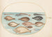 Planche 33 Sole et autres poissons plats avec poisson ruban - Joris Hoefnagel — Ansicht des Kunstwerks