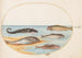 Planche 36 Fünf Fische, darunter ein Karpfen - Joris Hoefnagel — Ansicht des Kunstwerks