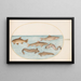 Planche 38 Lotte, Motelle und andere Fische - Joris Hoefnagel — gerahmtes Bild an der Wand