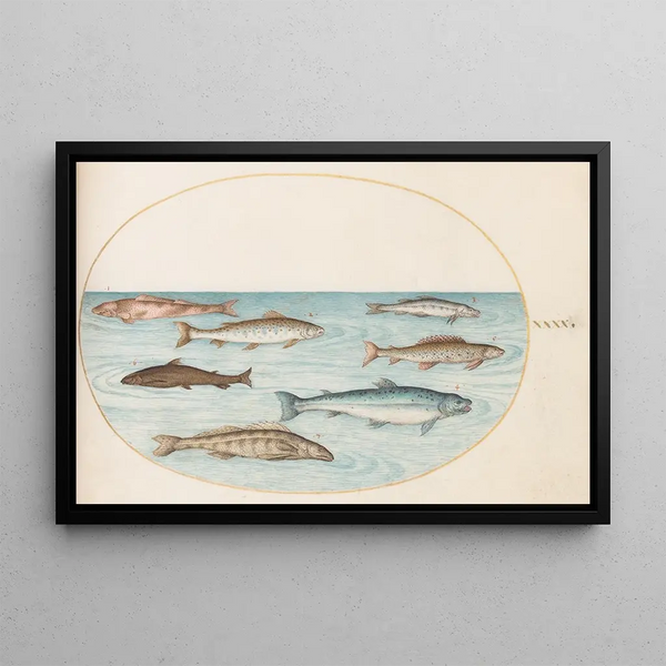 Joris Hoefnagel - Plate 40 Salmon Trout and Freshwater Fish.webp