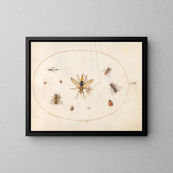 Platinen-Gemälde 62 Dix Insekten - Joris Hoefnagel — gerahmtes Bild an der Wand