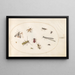 Planche 64, onze insecten, darunter eine Libelle und ein Langhornkäfer - Joris Hoefnagel — gerahmtes Bild an der Wand