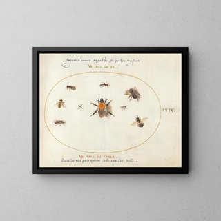 Joris Hoefnagel - Plate 69 Nine Bees and Other Insects.webp