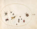 Platine 72: Schildläuse, Zimtwanze, Wespe und andere Insekten - Joris Hoefnagel — Ansicht des Kunstwerks