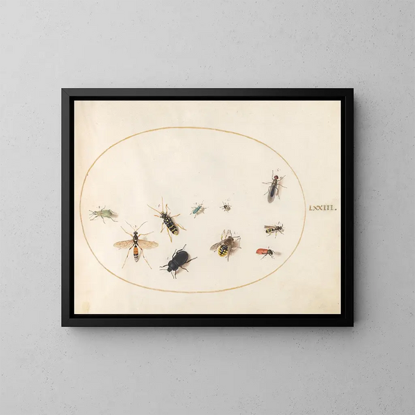 Platinen-Gemälde 73 Dix Insekten - Joris Hoefnagel — gerahmtes Bild an der Wand