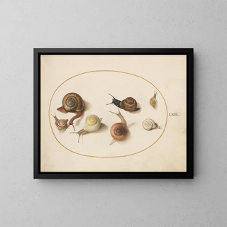 Joris Hoefnagel - Seven Snails.webp