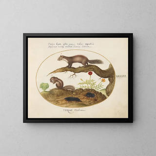 Joris Hoefnagel - Stone Marten Chipmunk and Moles with a Marigold and Lettuce.webp