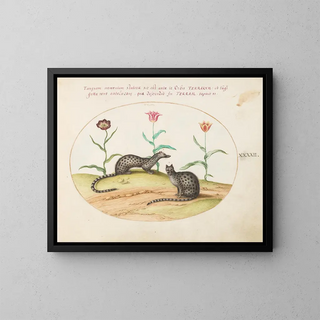 Joris Hoefnagel - Two Genets or Civet Cats with Tulips.webp