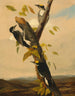 Pic tridactyle à dos noir - Joseph Bartholomew Kidd — Ansicht des Kunstwerks