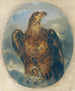 Adler - Joseph Hasslwander — Ansicht des Kunstwerks