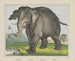 Elefant - Joseph Scholz — Ansicht des Kunstwerks