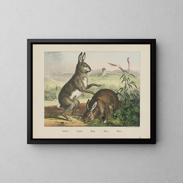 Hase - Joseph Scholz — gerahmtes Bild an der Wand