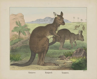 Kangaroo-Gemälde - Joseph Scholz — Ansicht des Kunstwerks