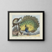 Pfau - Joseph Scholz — gerahmtes Bild an der Wand