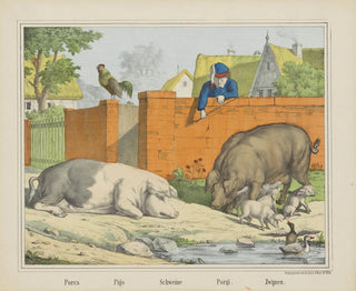 Cochons - Joseph Scholz — Ansicht des Kunstwerks