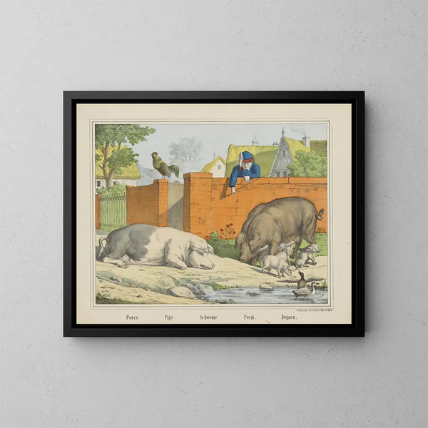 Cochons - Joseph Scholz — gerahmtes Bild an der Wand