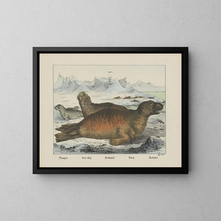Hund des Meeres - Joseph Scholz — gerahmtes Bild an der Wand